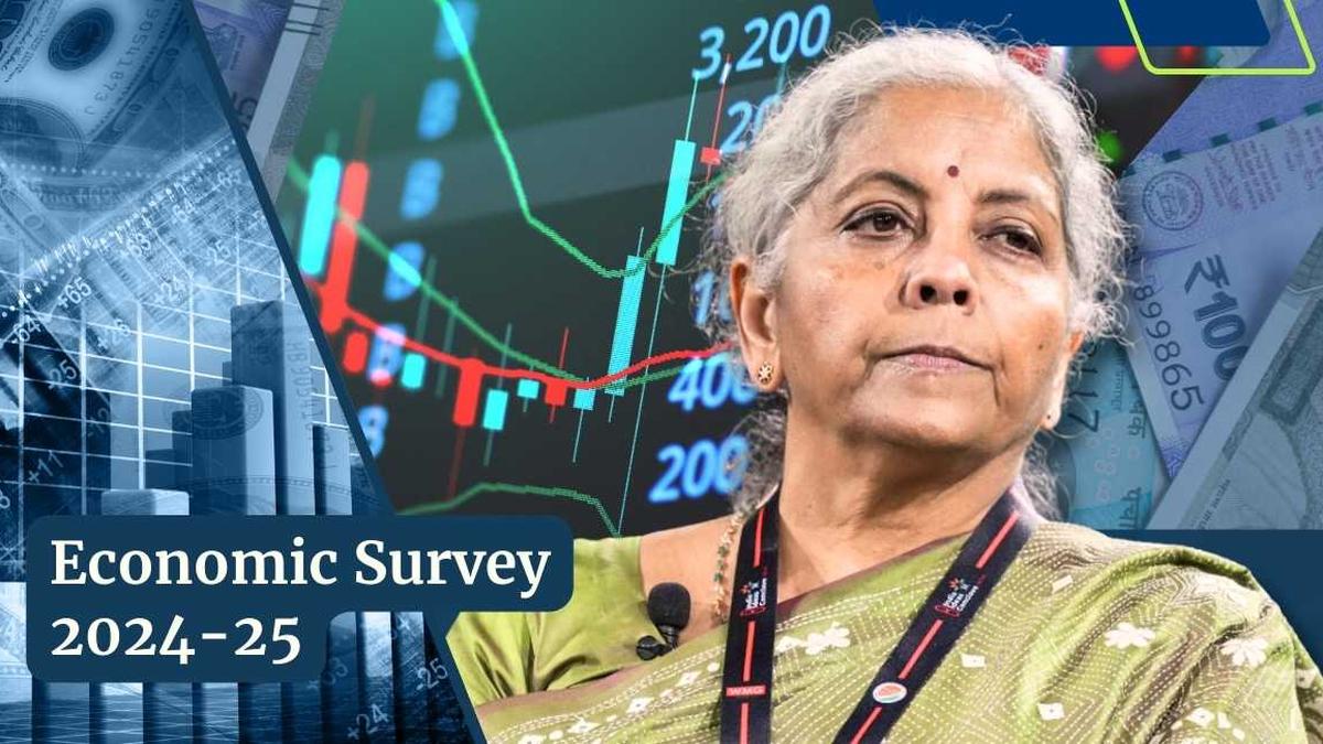 Economic Survey 2024-25: Key takeaways in charts